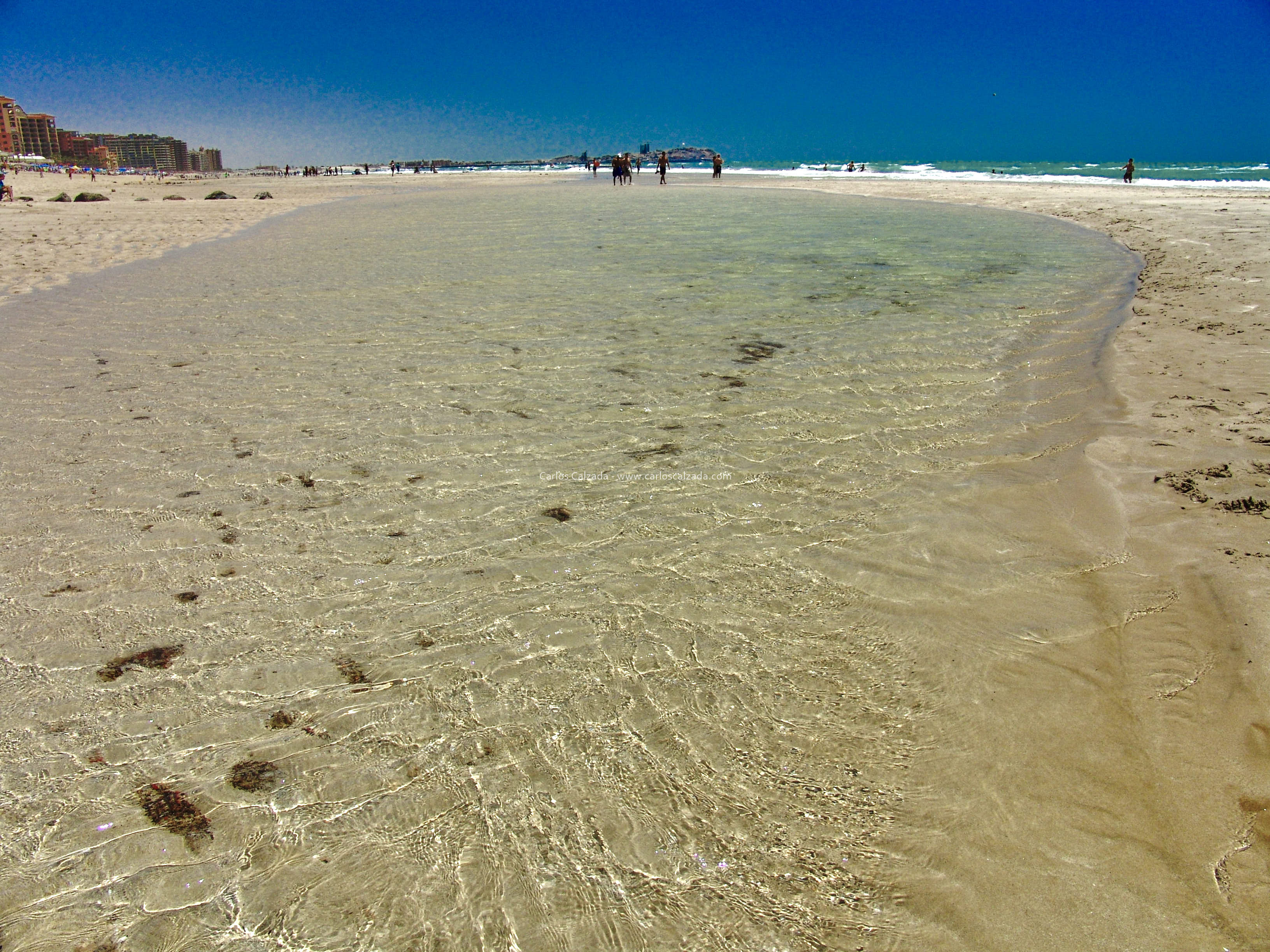 Arenosa_2008 (22).jpg